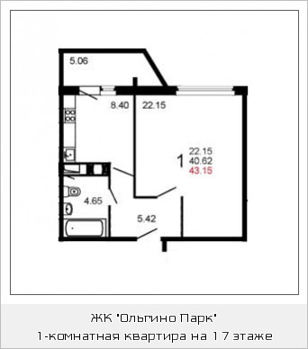 Однокомнатная квартира 42.9 м²