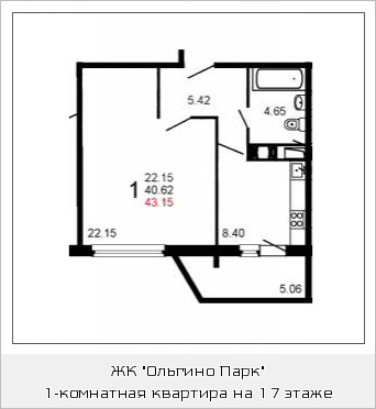 Однокомнатная квартира 43 м²