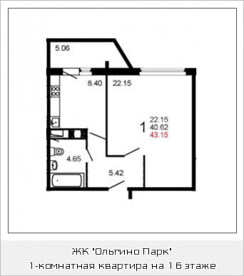Однокомнатная квартира 42.9 м²