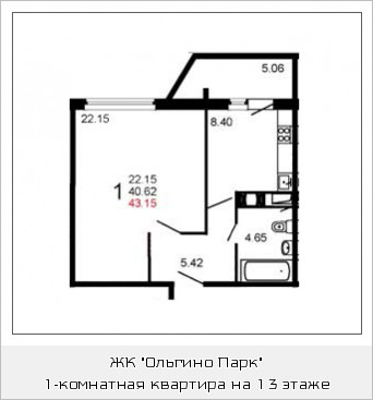 Однокомнатная квартира 43 м²